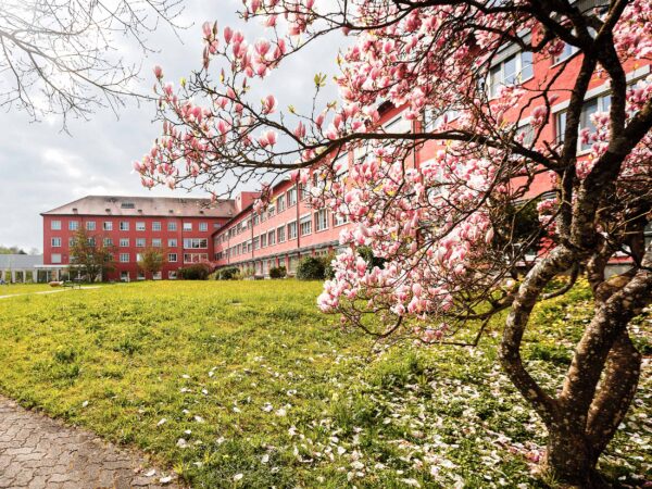 Das Spital Zollikerberg mit blühendem Baum im Vordergrund